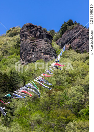 Road Station Reiyama Takeyama Carp Streamer 125599019