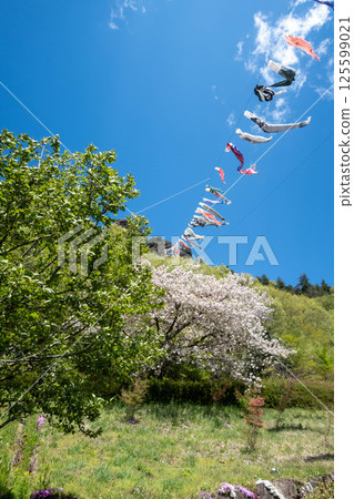 Road Station Reiyama Takeyama Carp Streamer 125599021