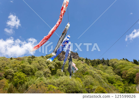 Road Station玲山竹山鯉魚旗 125599026