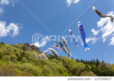 Road Station玲山竹山鯉魚旗 125599027