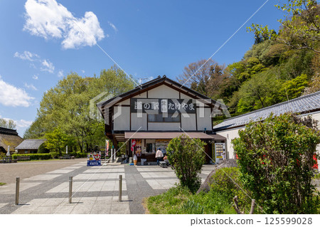 群馬縣中之條町道之站良善竹山 群馬縣中之條町道之站良善竹山 125599028