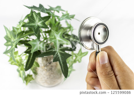 Fake greenery, hand and stethoscope Fake greenery, hand and stethoscope 125599086