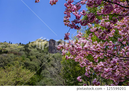 Takeyama Roadside Station: Walking trails around the station 125599201