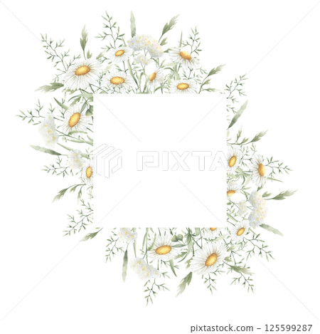 Wildflowers chamomile, yarrow and meadow grasses. Hand drawn isolated watercolor square frame of yellow and white field rustic flowers with copy space for wedding invitations, postcards and cards Wildflowers chamomile, yarrow and meadow grasses. Hand drawn isolated watercolor square frame of yellow and white field rustic flowers with copy space for wedding invitations, postcards and cards 125599287