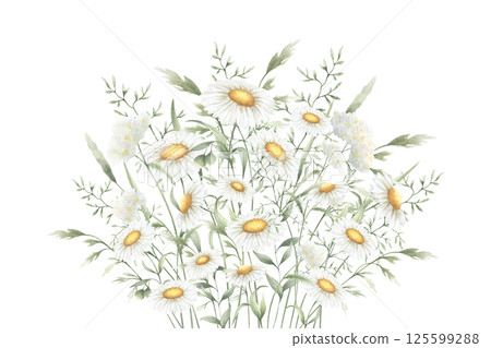 Bouquet floral of watercolor wildflowers chamomile, yarrow and meadow grasses isolated from background. Hand drawn illustration of yellow and white flowers for fabric print, packaging and postcard Bouquet floral of watercolor wildflowers chamomile, yarrow and meadow grasses isolated from background. Hand drawn illustration of yellow and white flowers for fabric print, packaging and postcard 125599288
