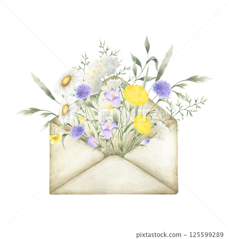 Watercolor wildflowers chamomile, bellflower, yarrow, dandelion and meadow grasses in old vintage envelope. Field yellow, lilac, white flowers hand drawn isolated illustration for postcards, stickers Watercolor wildflowers chamomile, bellflower, yarrow, dandelion and meadow grasses in old vintage envelope. Field yellow, lilac, white flowers hand drawn isolated illustration for postcards, stickers 125599289