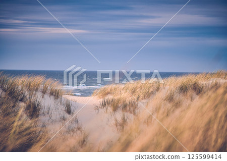 scenic view at north sea coast scenic view at north sea coast 125599414