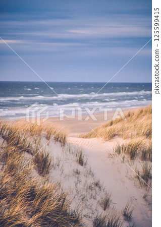 Scenic dune at danish north sea coast 125599415