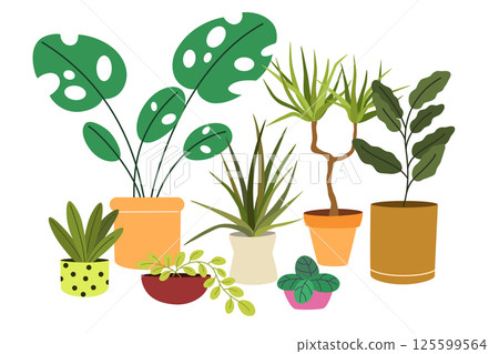 2302_plant_1 2302_plant_1 125599564