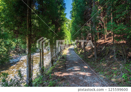 Hiking trail along the Kiyotaki River, Takao, Kyoto Hiking trail along the Kiyotaki River, Takao, Kyoto 125599600