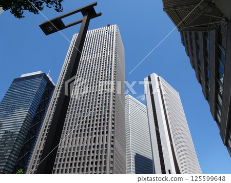 Landscape of the office town looking up at a skyscraper 125599648