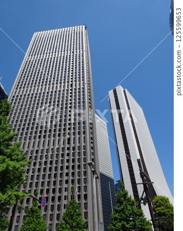 Landscape of the office town looking up at a skyscraper Landscape of the office town looking up at a skyscraper 125599653