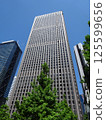 Landscape of the office town looking up at a skyscraper 125599656