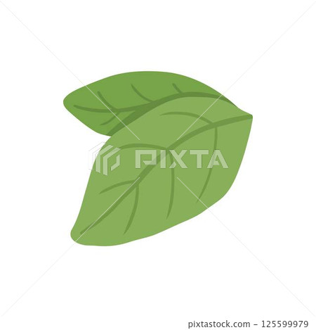 Pizza green leaf ingredient isolated on white. Vector cartoon illustration of dough base, tomato, pepper, mushroom pieces, slices of ham and salami, ketchup sauce, olive oil, rosemary, italian food 125599979