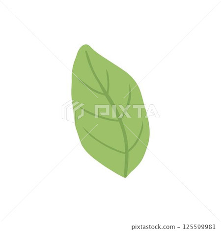 Pizza green leaf ingredient isolated on white. Vector cartoon illustration of dough base, tomato, pepper, mushroom pieces, slices of ham and salami, ketchup sauce, olive oil, rosemary, italian food 125599981