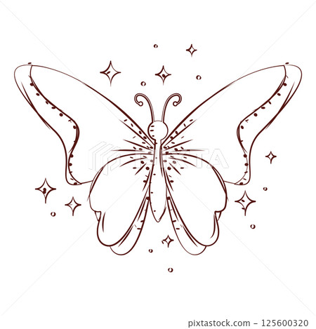 Butterfly line art style. Vector Butterfly line art style. Vector 125600320
