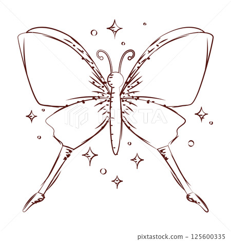 Butterfly line art style. Vector 125600335
