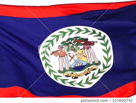 Belize flag fluttering in the wind 125600742