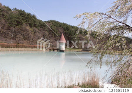 Fukushima Prefecture Dake Onsen: Milky white Midorigaike Pond, into which the Milky Day Dake Onsen flows 125601119