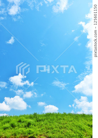 Refreshing summer blue sky and fresh green meadow landscape Refreshing summer blue sky and fresh green meadow landscape 125601150