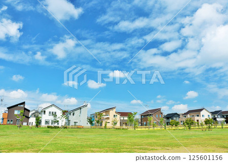 清新的藍天和公園在城市 125601156