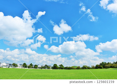 A refreshing blue sky park 125601159