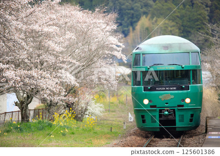 JR九州特快「湯布院之森」經過北山田站，這裡櫻花盛開。 125601386