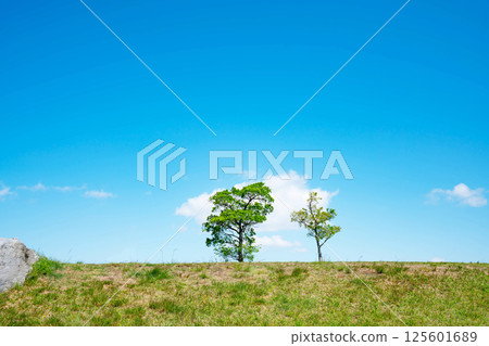 藍天和大草原 藍天和大草原 125601689