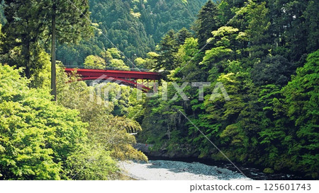 Hikawa Valley in Okutama in early summer 125601743