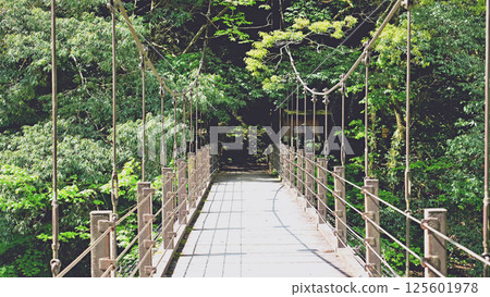 Hikawakobashi Bridge over the Hikawa Valley in Okutama in early summer 125601978