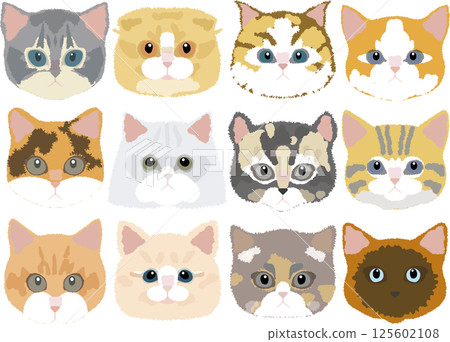 Cats of the World - Line-free illustrations 125602108