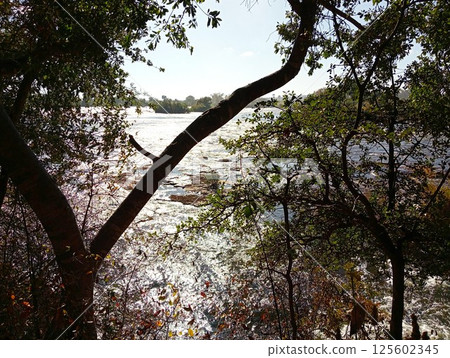 辛巴威維多利亞瀑布 5 辛巴威維多利亞瀑布 5 125602345