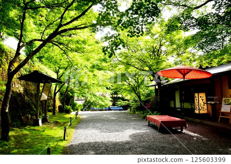 京都市：大原三千院宮門通道（大原女道）、新綠、茶館、戶外茶傘 125603399