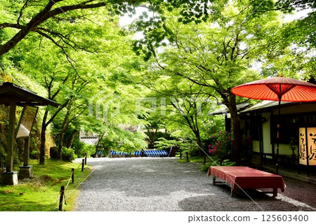 京都市:大原三千院宮門通道(大原女道)、新綠、茶館、戶外茶傘 京都市:大原三千院宮門通道(大原女道)、新綠、茶館、戶外茶傘 125603400