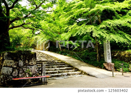 Kyoto City: The approach to Sanzen-in Temple in Ohara (Ohara Women's Path) and fresh greenery Kyoto City: The approach to Sanzen-in Temple in Ohara (Ohara Women's Path) and fresh greenery 125603402