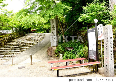 Kyoto City: The approach to Sanzen-in Temple in Ohara (Ohara Women's Path) and fresh greenery Kyoto City: The approach to Sanzen-in Temple in Ohara (Ohara Women's Path) and fresh greenery 125603404