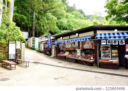 京都市:大原三千院宮門參道(大原女道)、新綠、一福茶室 京都市:大原三千院宮門參道(大原女道)、新綠、一福茶室 125603406