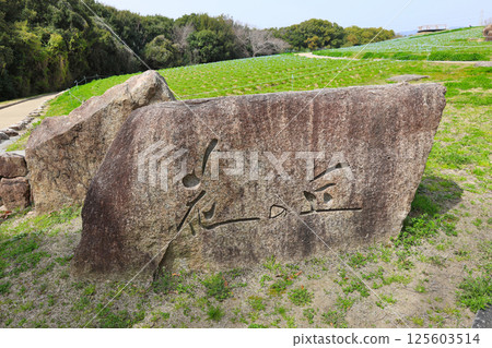 花山石碑 花山石碑 125603514