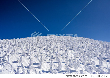 Zao's ice crystal Zao's ice crystal 125603517