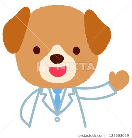 可愛的狗狗醫生狗穿著白大褂 125603629