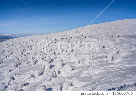 Zao's ice crystal Zao's ice crystal 125603760