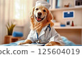 Happy golden retriever dog dressed as a vet in a clinic. 125604019