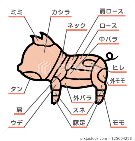 豬肉部位插圖及文字 豬肉部位插圖及文字 125604298
