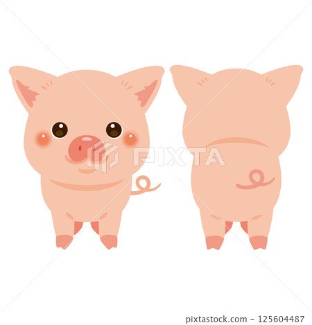 Pig front and back illustration set 125604487
