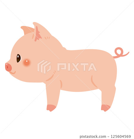 豬的側面插圖 125604569