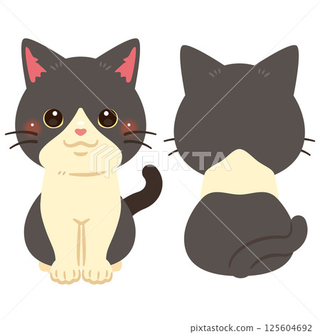 一組坐著的貓的正面和背面插圖 125604692