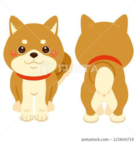 柴犬正面和背面插圖集 125604719