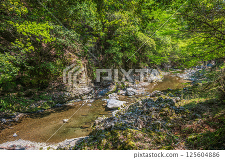 京都的清流，京都市右京區清瀧川 125604886