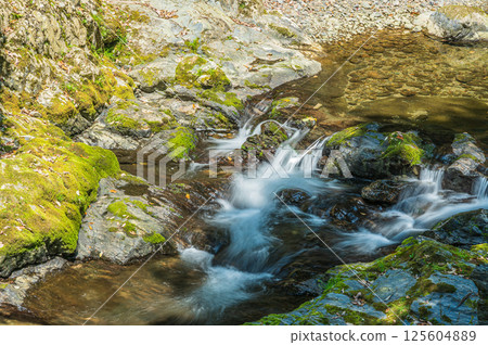 京都的清流,京都市右京區清瀧川 京都的清流,京都市右京區清瀧川 125604889