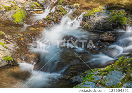 Kyoto's clear stream, Kiyotaki River, Ukyo Ward, Kyoto City 125604891